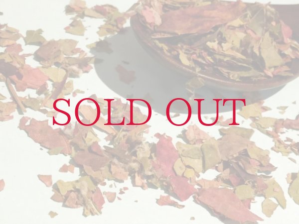 白い綿毛がついています