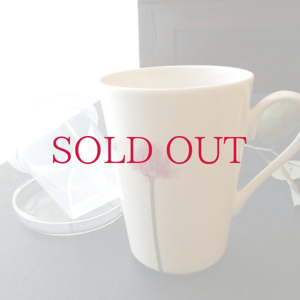 ガラス蓋、フィルター付き