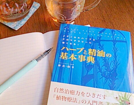 【2024年4月より対面&オンライン講座再開】ハーバリスト養成講座100種類のハーブを知るマスターコース★10回分受講回数券